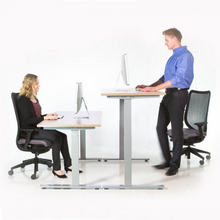 Load image into Gallery viewer, Standing Desk Tall
